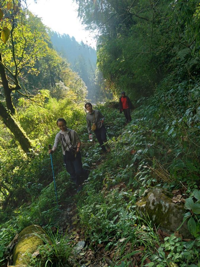 The Tirthan Eagle Nest, Tirthan Valley Jibhi 외부 사진